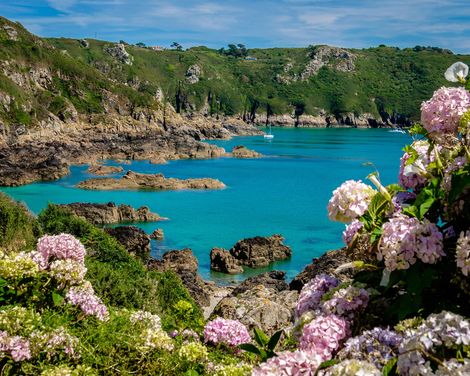 Kreuzfahrt mit MS Hamburg ab/an Hamburg