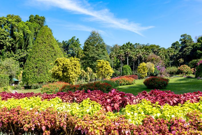 Botanischer Garten in Sri Lanka