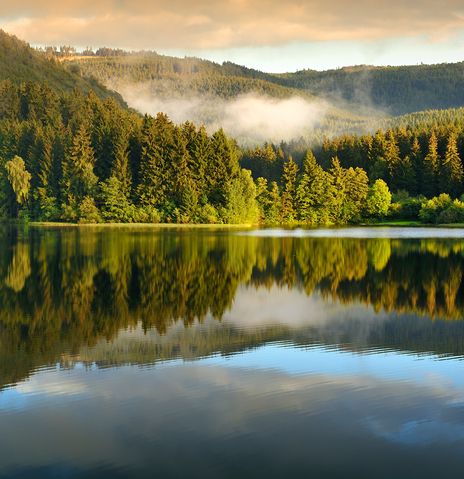 Landschaft im Harz