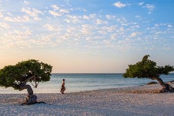 Strand in Aruba 