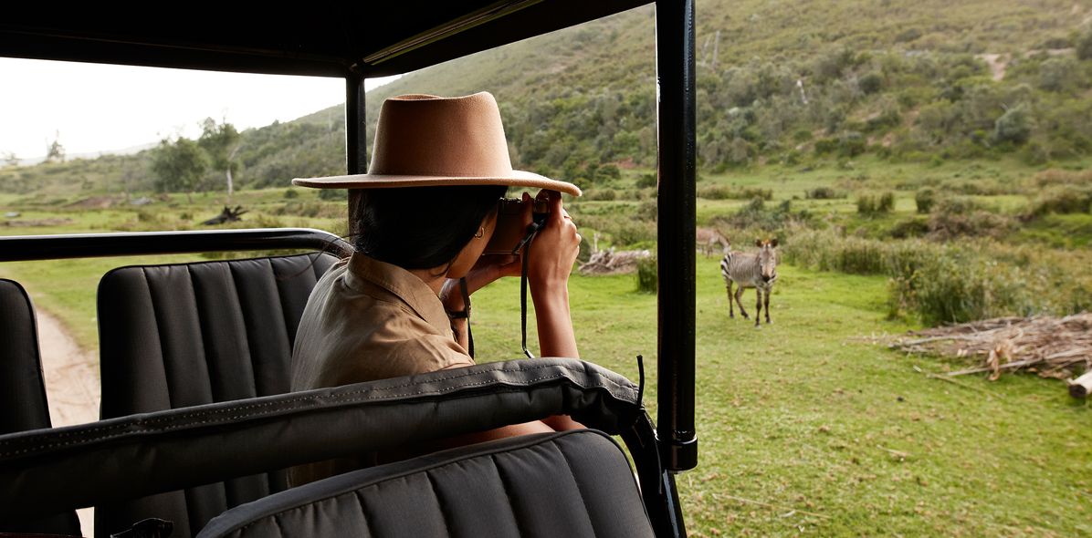 Safari in Südafrika