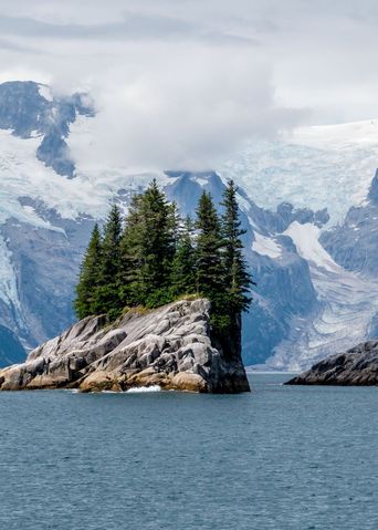 Kleine Insel mit Bäumen vor großen Eisbergen im Kenaifjords-Nationalpark in Alaska
