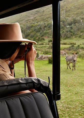 Kanu auf Safari
