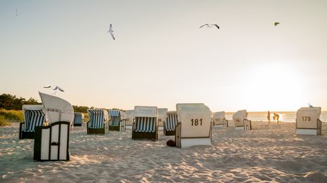 Strandkörbe und Meer an der Ostsee