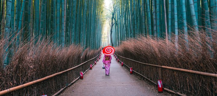 Frau in traditioneller Kleidung spaziert durch den Bambuswald in Kyoto, Japan