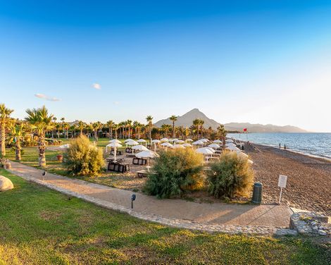 Acacia Resort-0