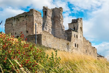 Burg Rakvere in Estland