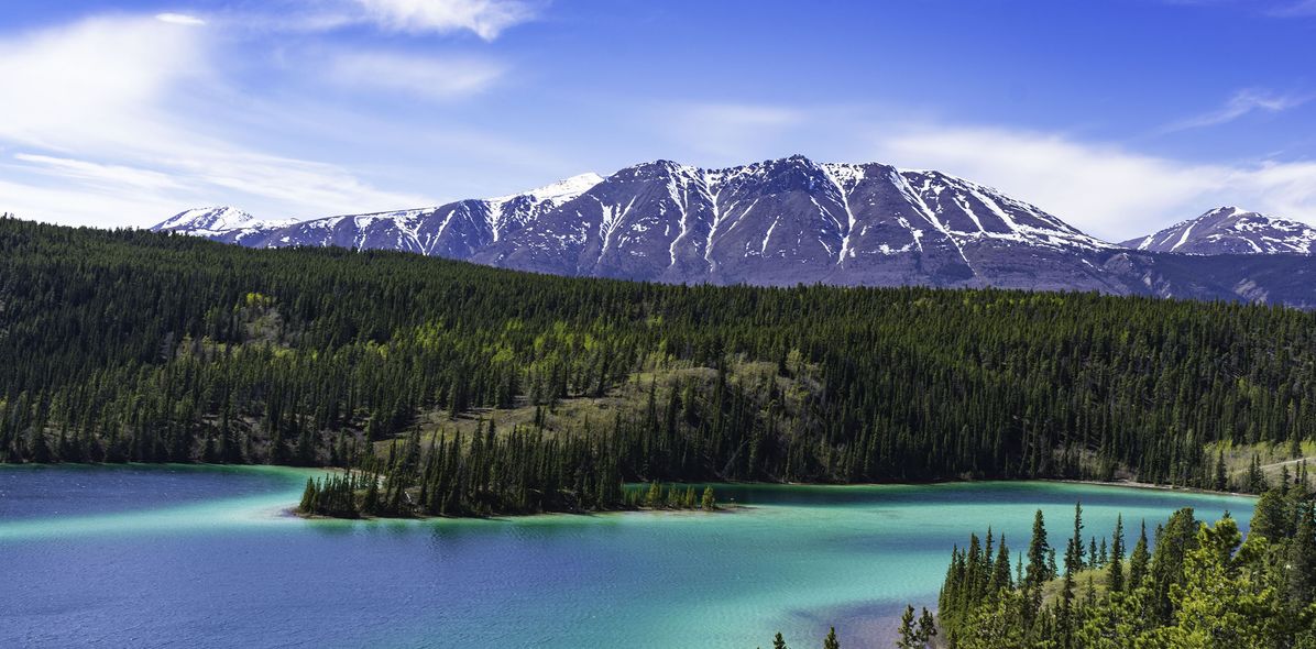 Türkisfarbener See bei Skagway mit Wäldern und Bergen
