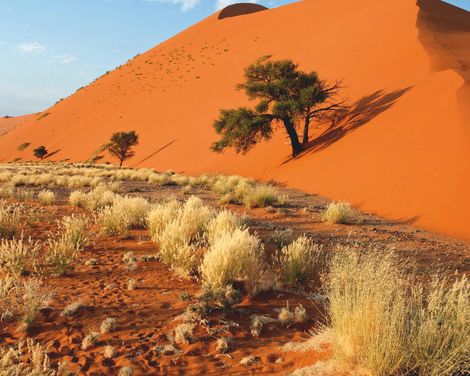 Rundreise ab/an Windhoek inkl. Ganztagessafari im Etosha Nationalpark