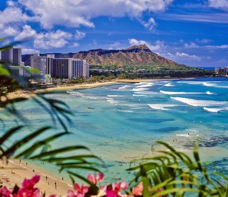 Honululu Strand mit Berg und Blumen