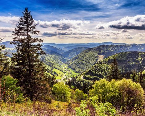 Urlaubsspaß im 4-Sterne-Hotel Hofgut Sternen in Breitnau-1