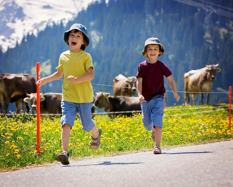 Hotel Planai in Schladming