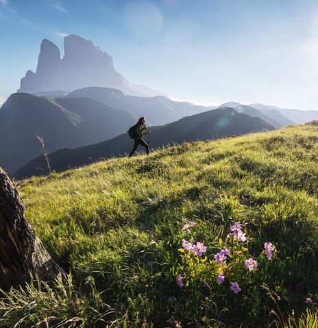 Frau wandert auf einer Bergwiese bei strahlendem Sonnenschein berghoch