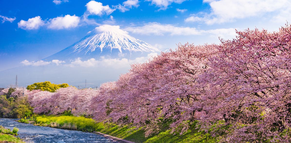 Blick auf den Fuji in Japan