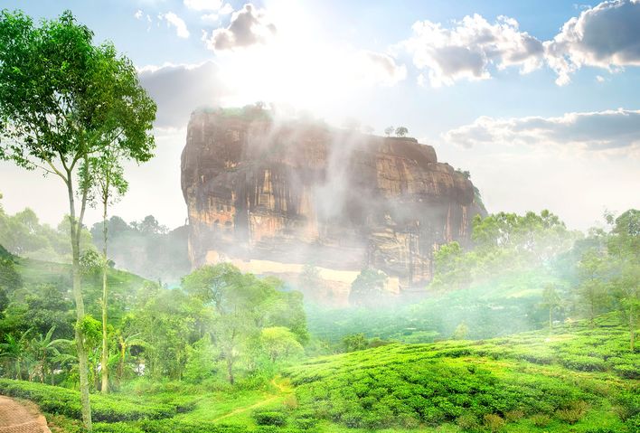 Blick über Teeplantagen zum im Nebel liegenden Löwenfels auf Sri Lanka