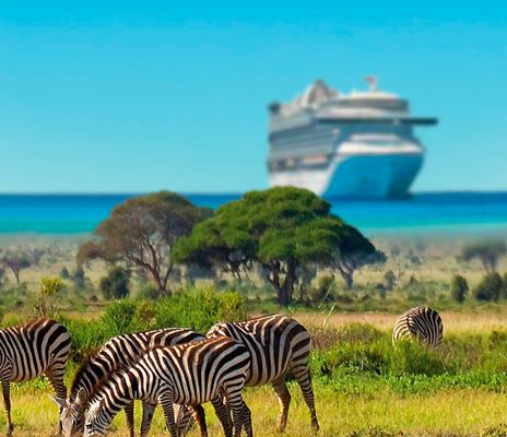 Kreuzfahrtschiff und Zebras