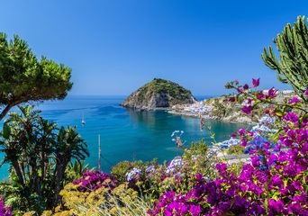 Blick auf die Küste von Ischia, umgeben von Blumen