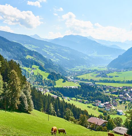 Landschaft im Zillerta