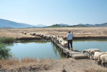 Albanien