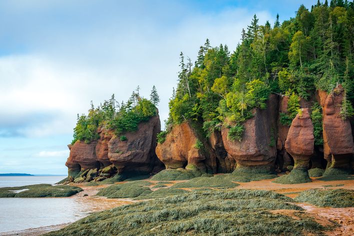 Bay of Fundy bei Ebbe 