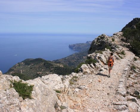 Baustein-Rundreise von Alcudia bis Palma de Mallorca: Wandern durch das spektakuläre Tramuntana Gebirge