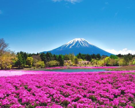 Große Eindrücke in kleiner Runde - Zen, Züge, Zauber-3