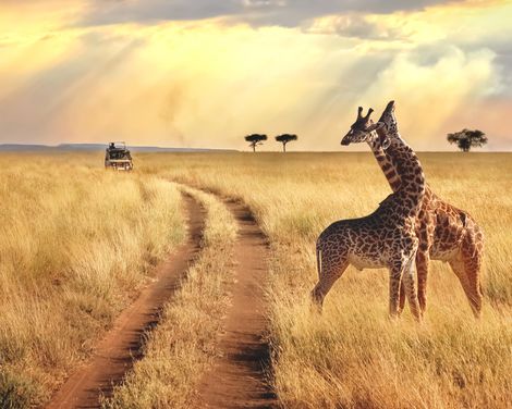 Afrikas Süden exklusiv genießen-3