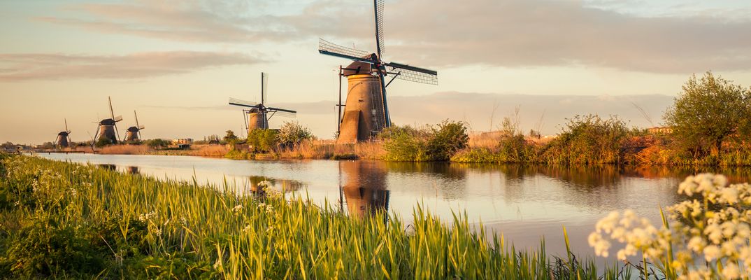 Windmühlen und Wiesenlandschaft in den Niederlanden