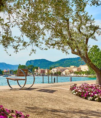 Blumenbepflanzte Uferpromenade in Bardolino am Gardasee mit Olivenbäumen und Blick auf den See