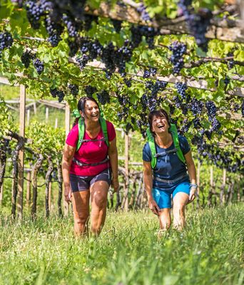 Wanderer in Italien