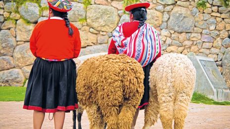 Frauen und Lamas in Peru