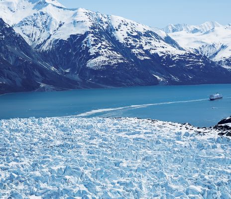 MS Westerdam fährt durch die Glacier Bay in Alaska