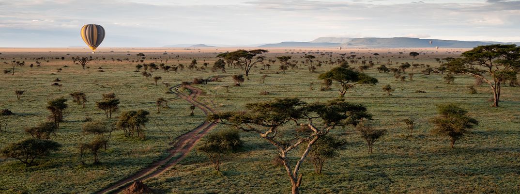 Heißluftballons im Serengeti Nationalpark