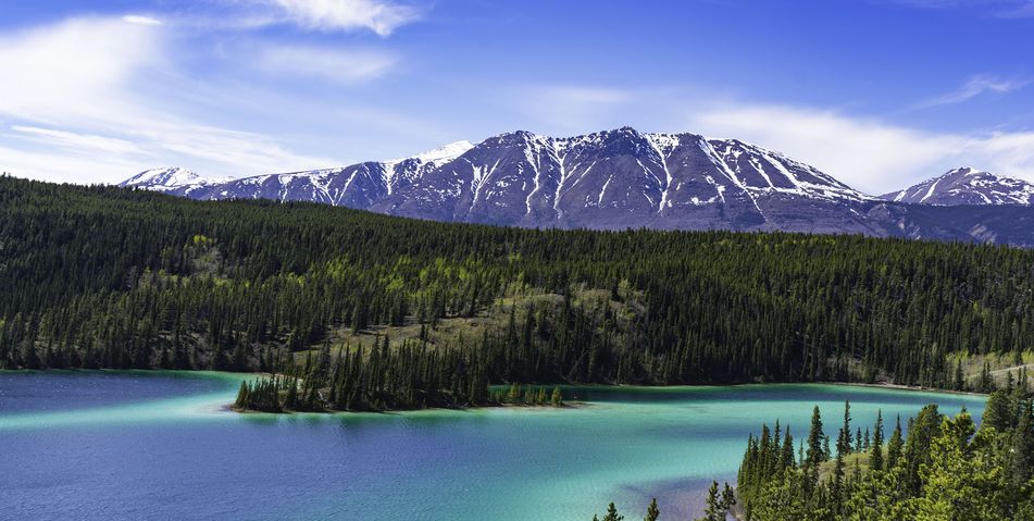 Türkisfarbener See bei Skagway mit Wäldern und Bergen