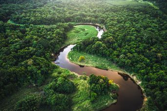 Amazonas Gebiet in Brasilien