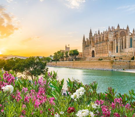 Kathedrale von Palma de Mallorca bei Sonnenuntergang mit Blumen im Vordergrund und Blick aufs Wasser