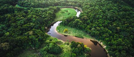 Blick auf den Amazonas-Regenwald mit gewundenem Flusslauf aus der Luft aufgenommen