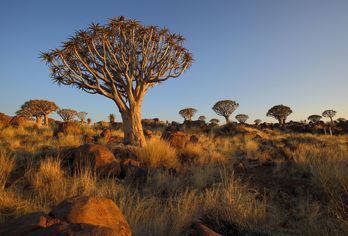 Namibia