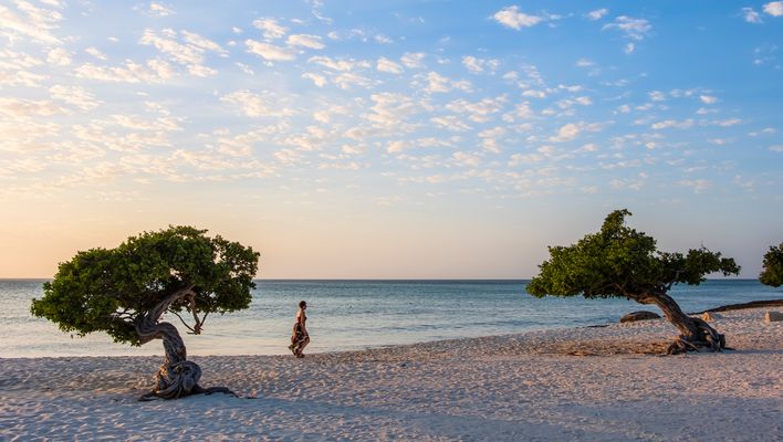Strand auf der Insel Aruba