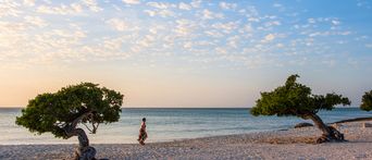 Strand von Aruba 