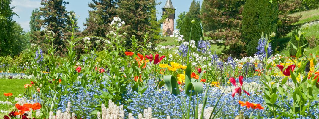 Blumeninsel Mainau am Bodensee