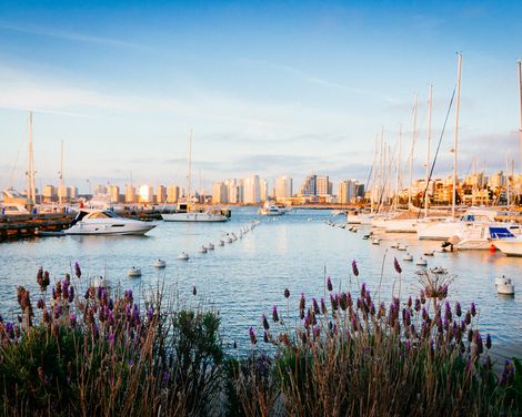 Kreuzfahrt mit der MS Oosterdam von Buenos Aires bis Santiago de Chile-3