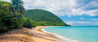 Strand von Guadeloupe