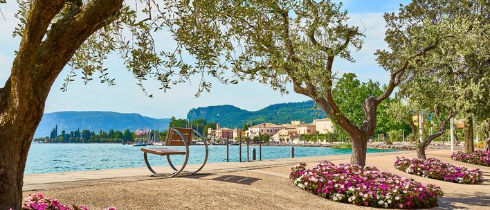 Blumenbepflanzte Uferpromenade in Bardolino am Gardasee mit Olivenbäumen und Blick auf den See