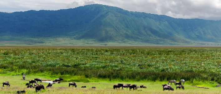 Ngorongoro Krater in Tansania