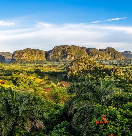 Blick auf Vinales Tal