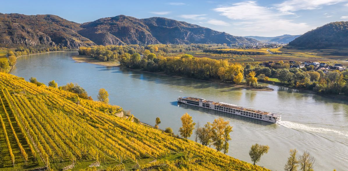 Flusskreuzfahrtschiff fährt entlang der Donau in Österreich mit Weinbergen am Ufer