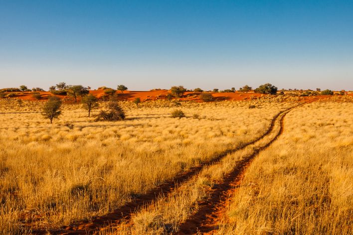 Kalahari Wüste in Botswana