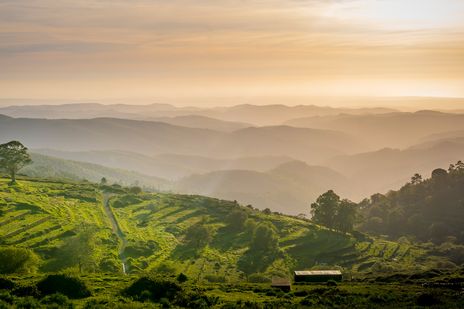 Aussicht auf das Monchique Gebirge bei Sonnenuntergang