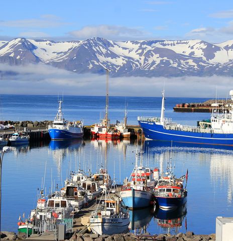 Hafen Akureyri Boote